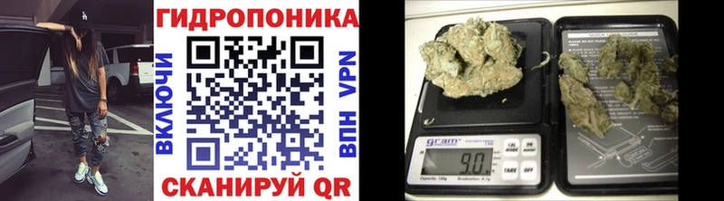Марихуана конопля  Новоаннинский 